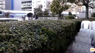 538欧美视频精品